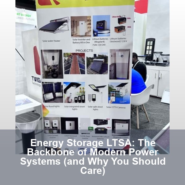 Energy Storage LTSA: The Backbone of Modern Power Systems (and Why You Should Care)